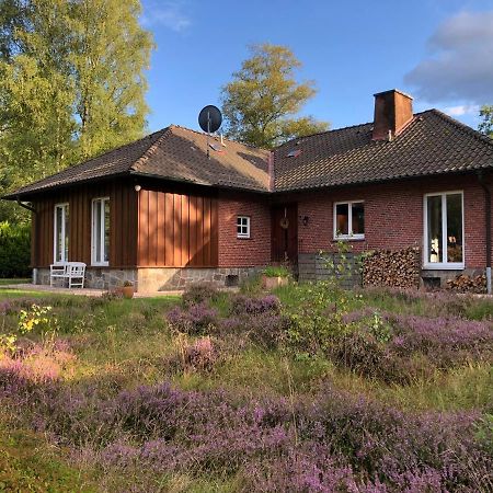 Landhaus Mitten In Der Lueneburger Heide 安德罗 外观 照片