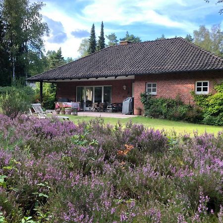 Landhaus Mitten In Der Lueneburger Heide 安德罗 外观 照片