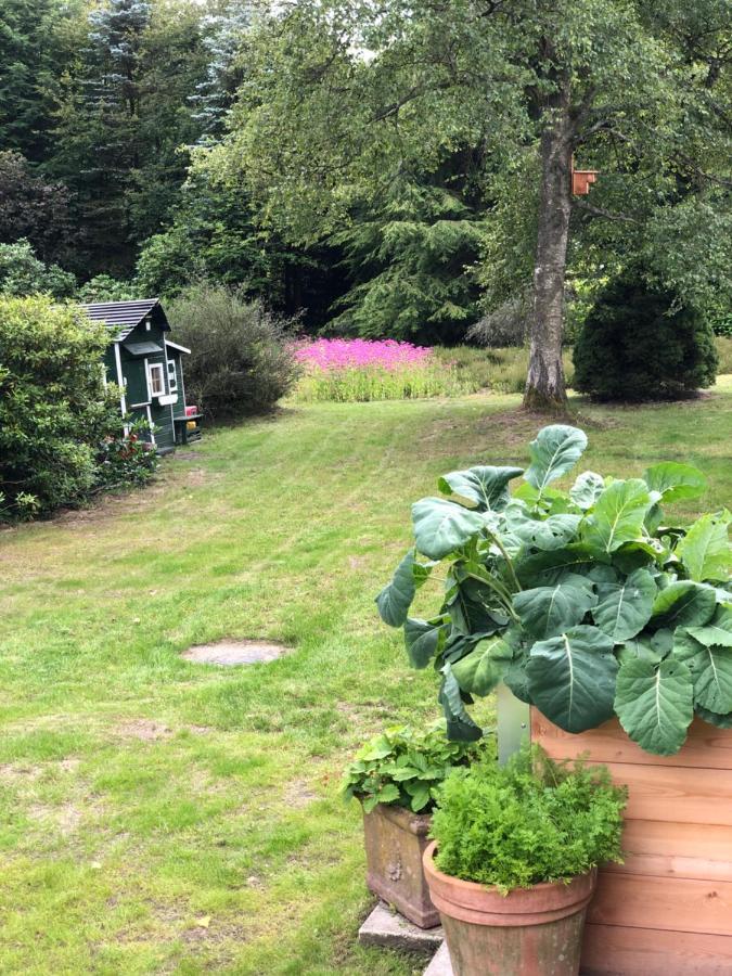 Landhaus Mitten In Der Lueneburger Heide 安德罗 外观 照片