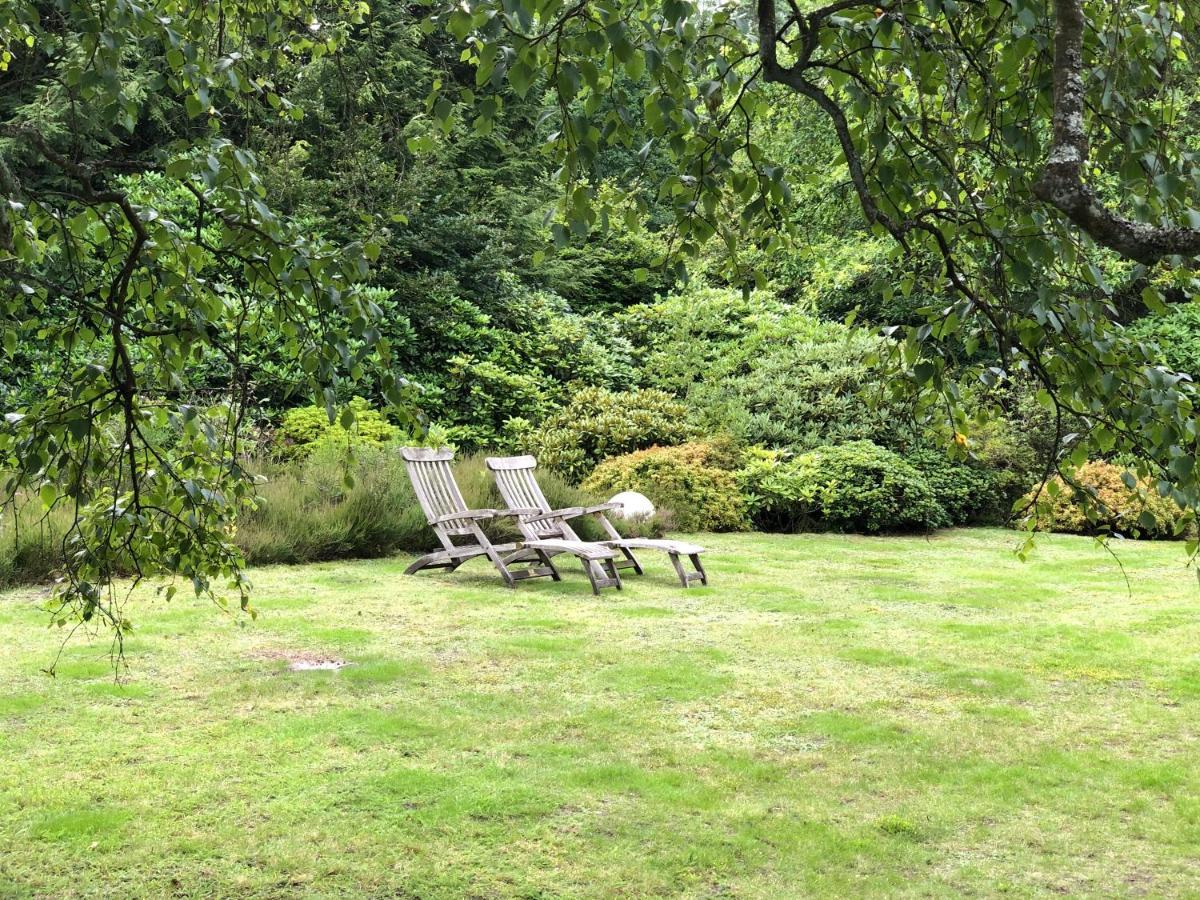 Landhaus Mitten In Der Lueneburger Heide 安德罗 外观 照片