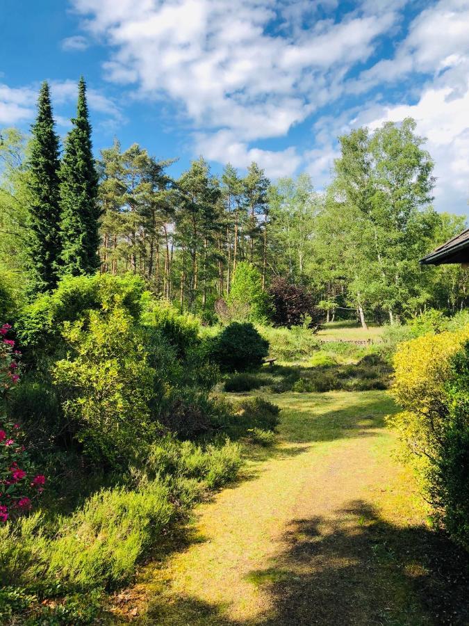 Landhaus Mitten In Der Lueneburger Heide 安德罗 外观 照片