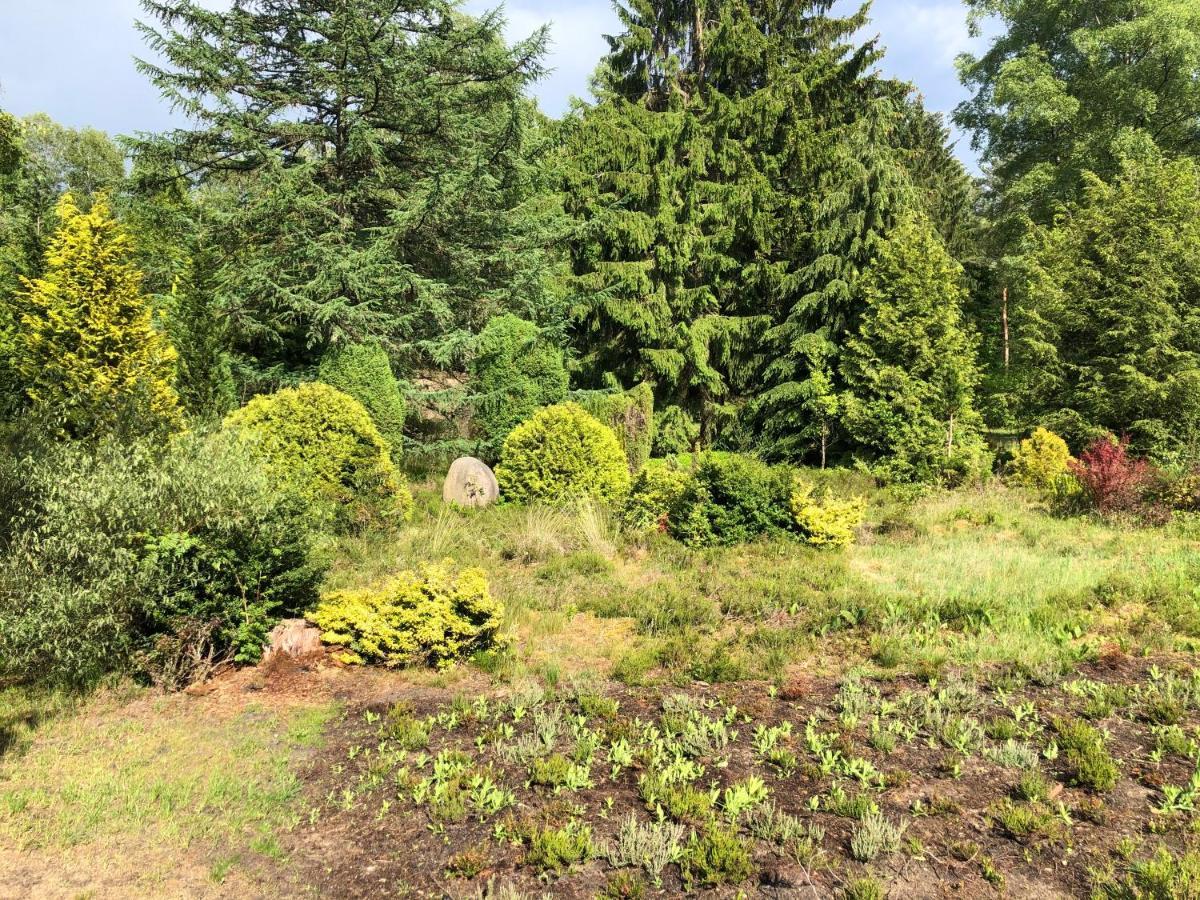 Landhaus Mitten In Der Lueneburger Heide 安德罗 外观 照片
