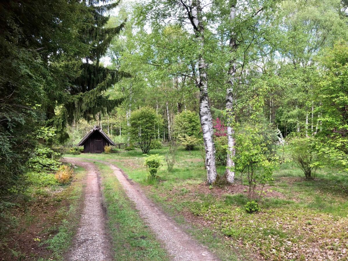 Landhaus Mitten In Der Lueneburger Heide 安德罗 外观 照片