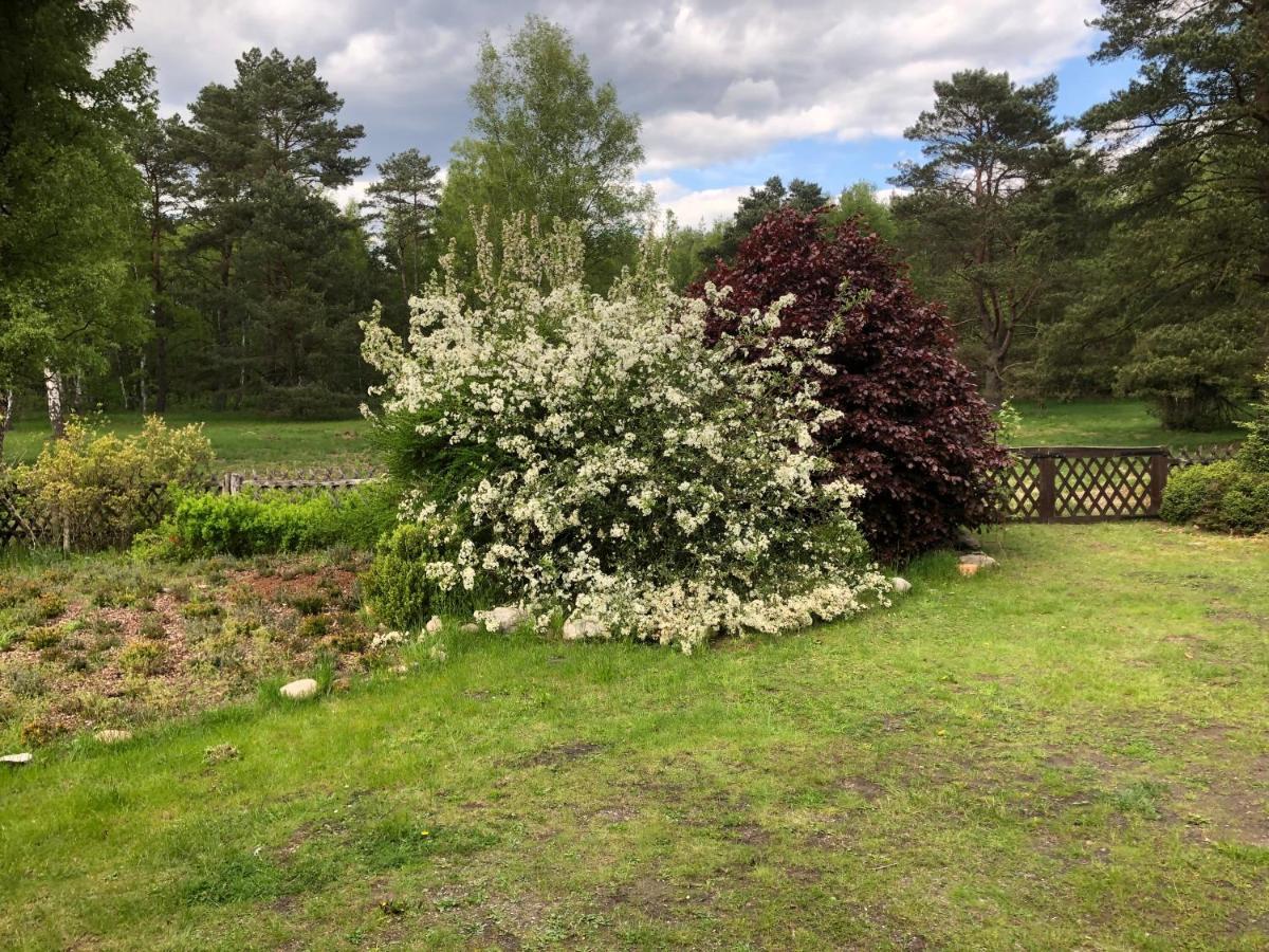 Landhaus Mitten In Der Lueneburger Heide 安德罗 外观 照片