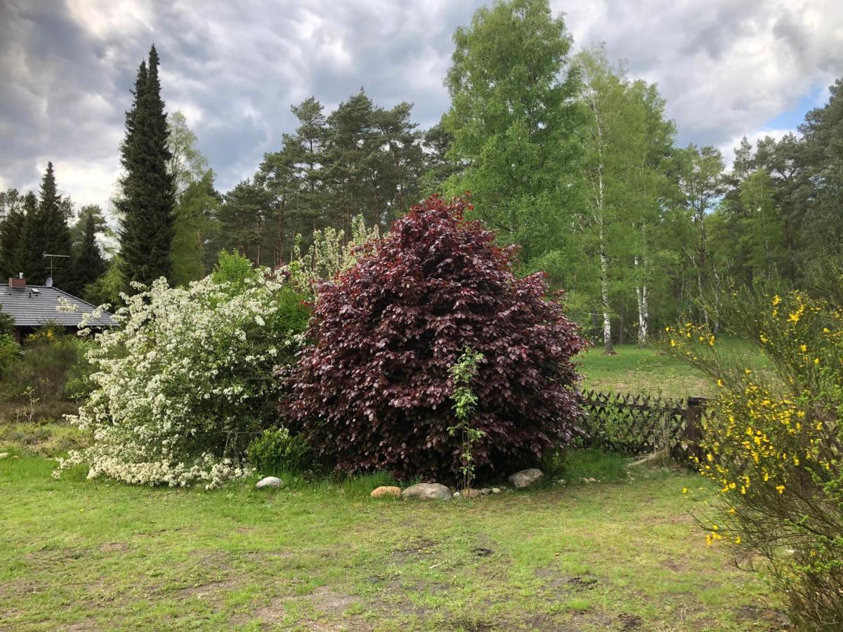 Landhaus Mitten In Der Lueneburger Heide 安德罗 外观 照片