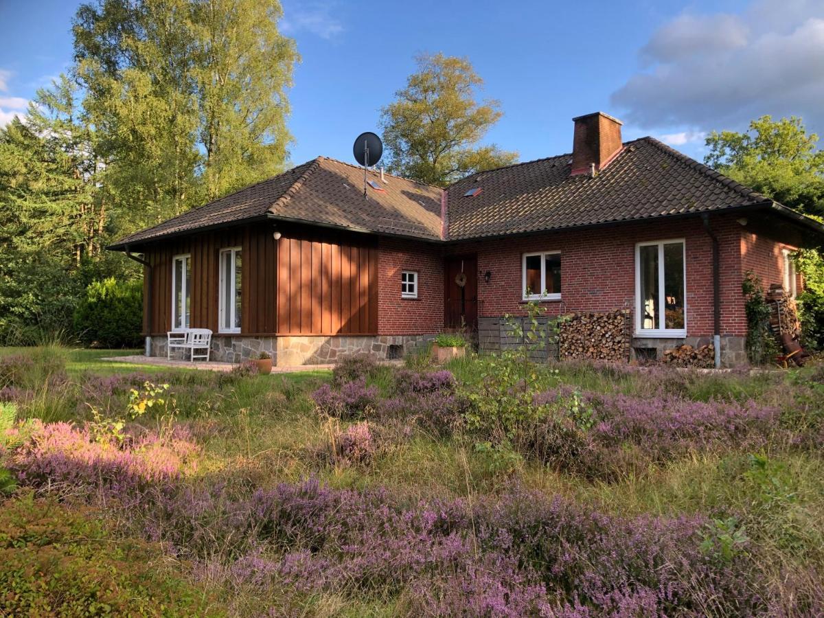Landhaus Mitten In Der Lueneburger Heide 安德罗 外观 照片