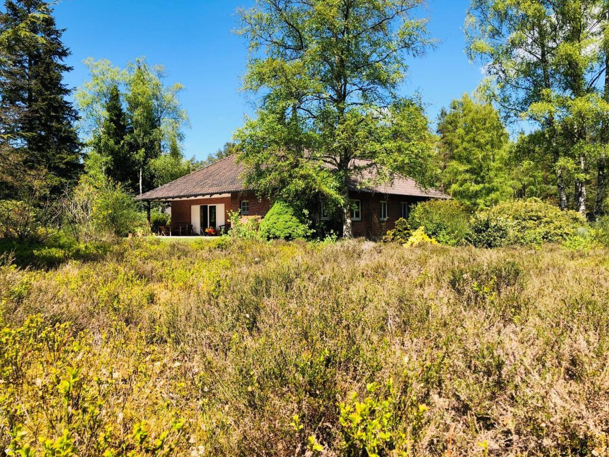 Landhaus Mitten In Der Lueneburger Heide 安德罗 外观 照片