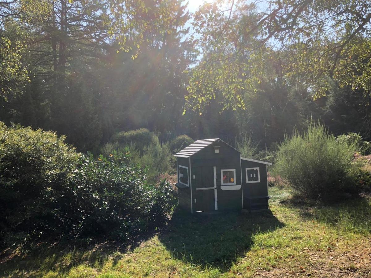 Landhaus Mitten In Der Lueneburger Heide 安德罗 外观 照片