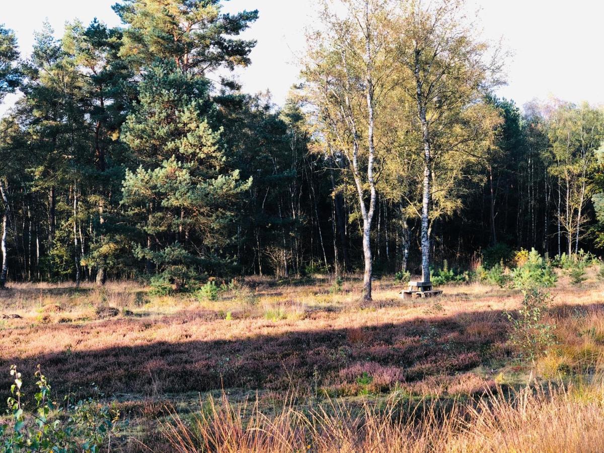 Landhaus Mitten In Der Lueneburger Heide 安德罗 外观 照片